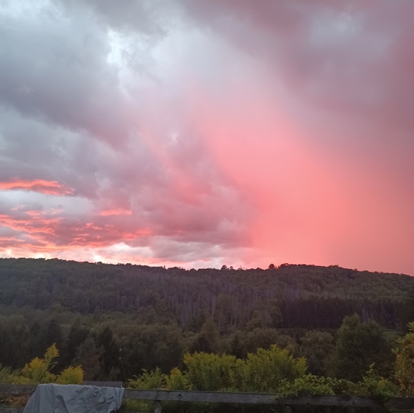 live show listing like to be notified when im live - Picture 13 of 15